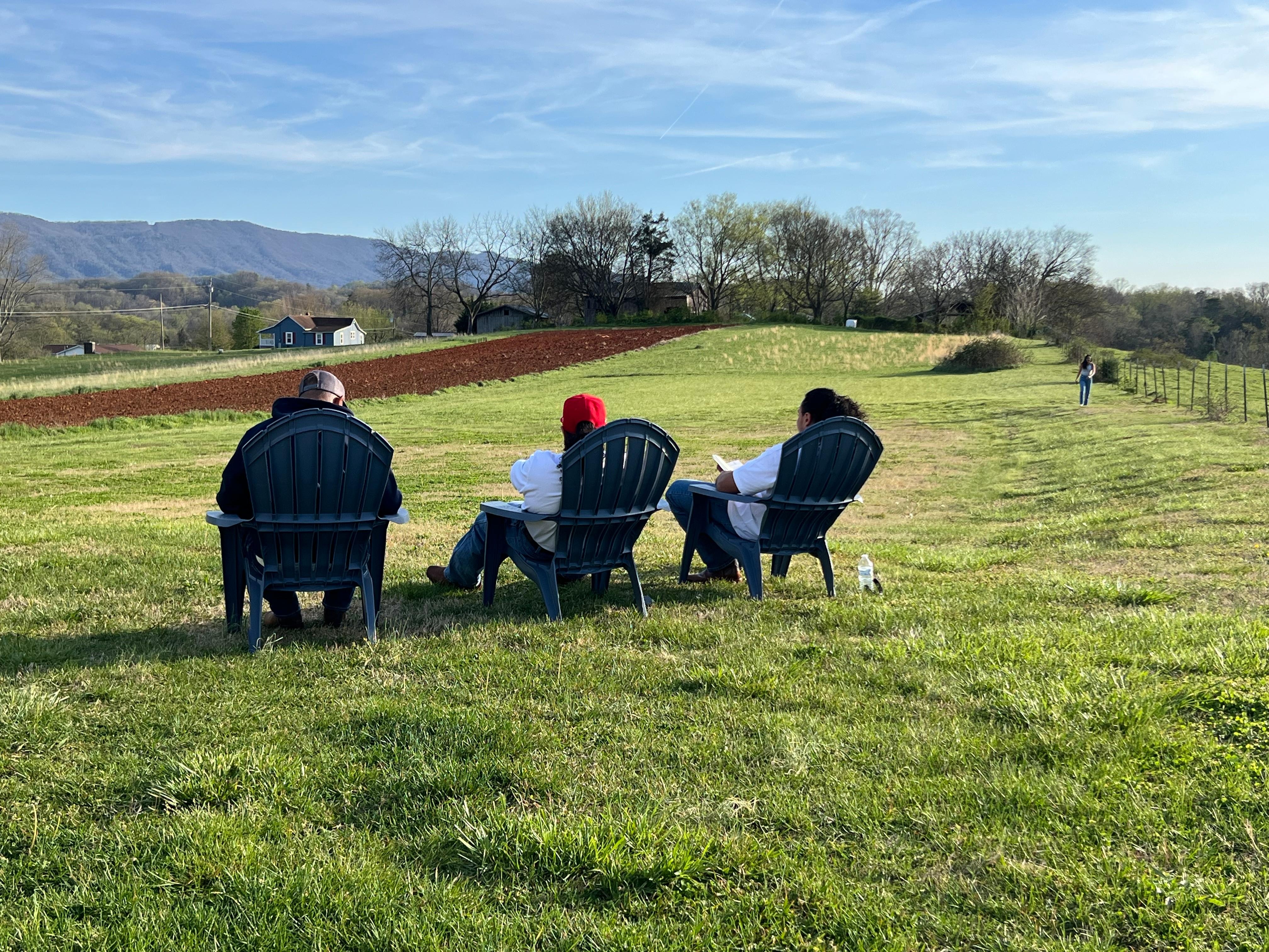 Enjoying the view from the backyard