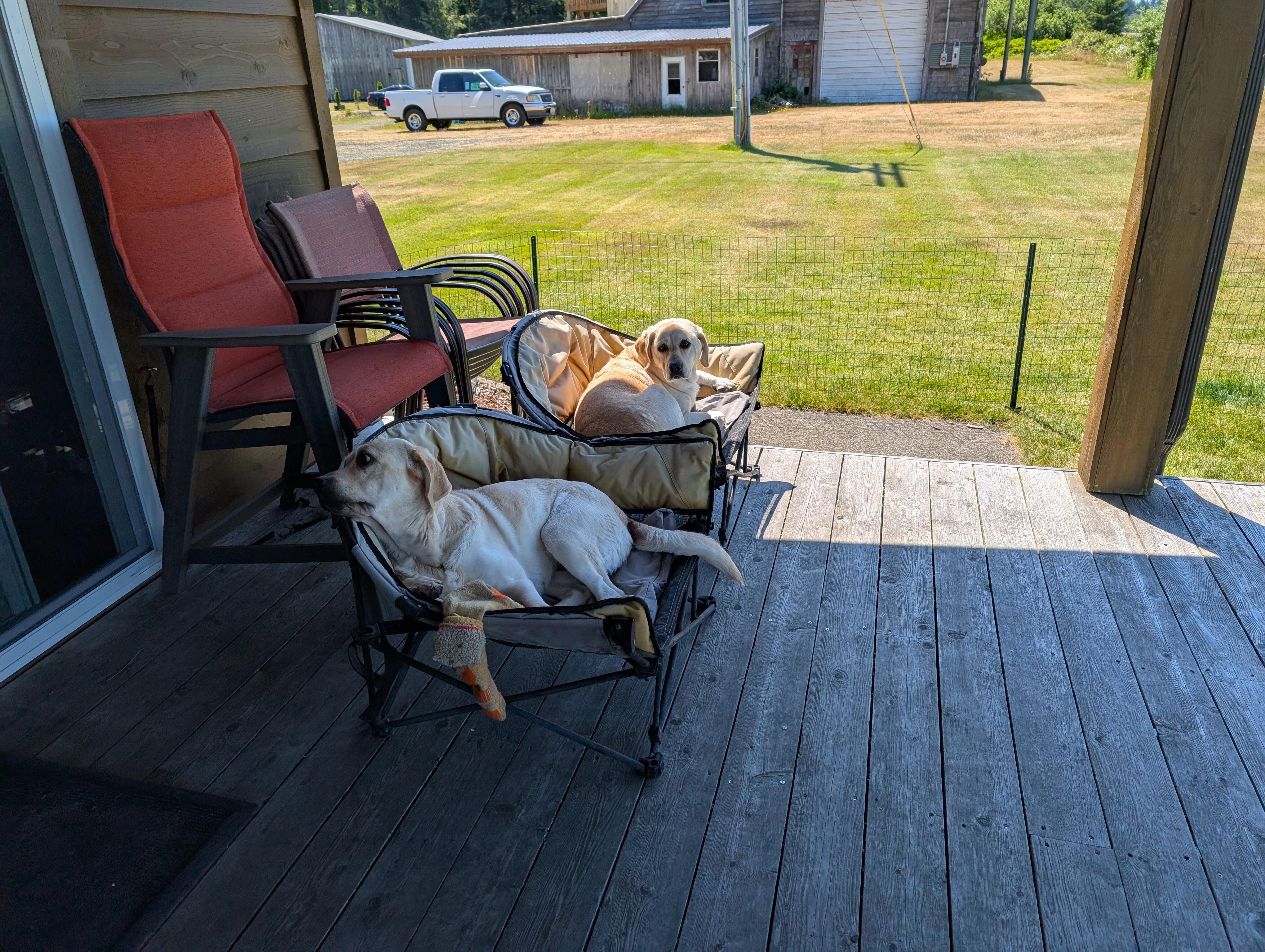Mollee and Ashlee relaxing.