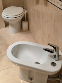 I've never seen 2 toilets before side by side. I guess one is a urinal.