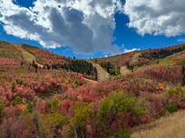 Nearby slopes with fall leaves