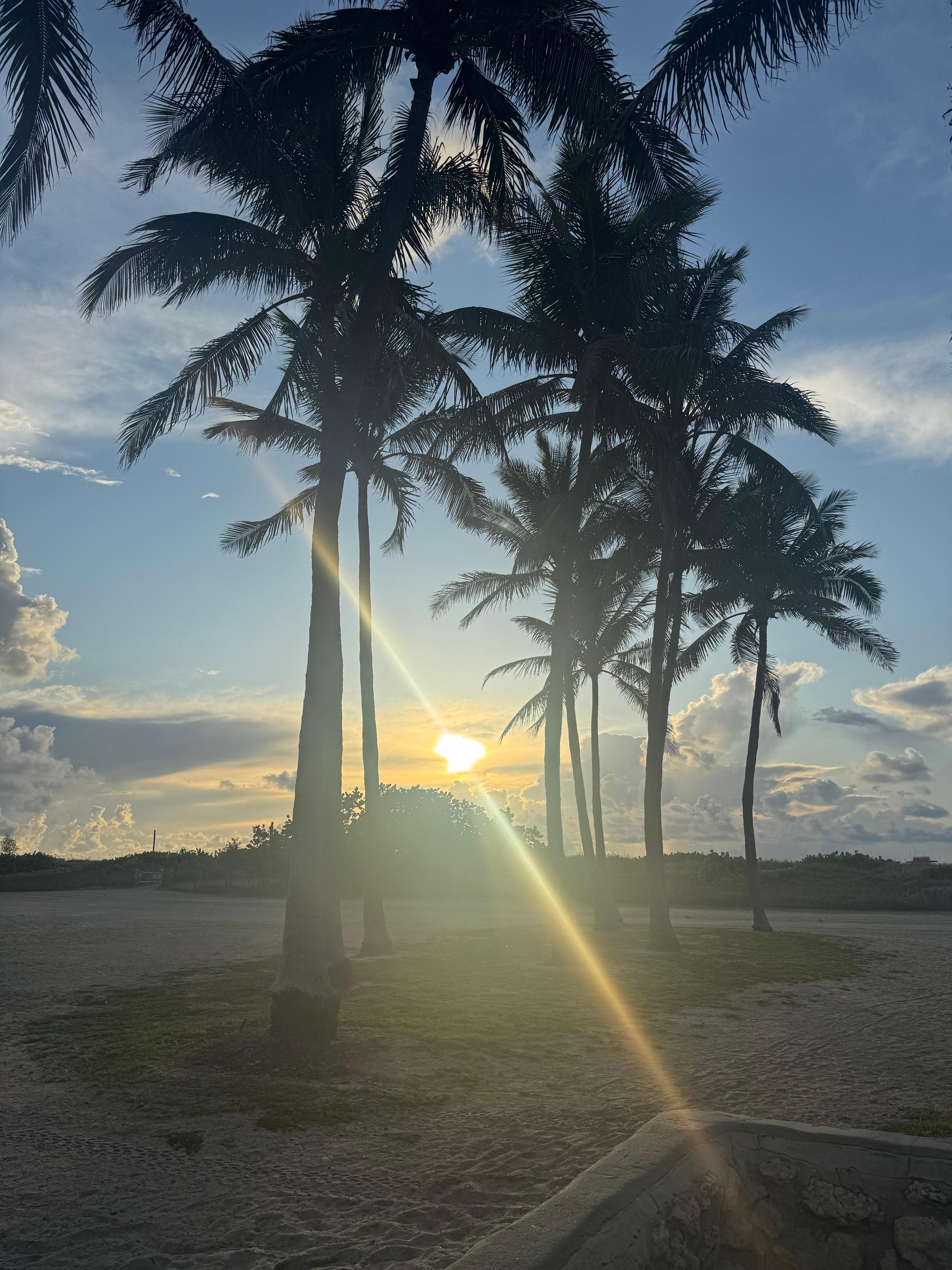 近くのbeachのsunrise