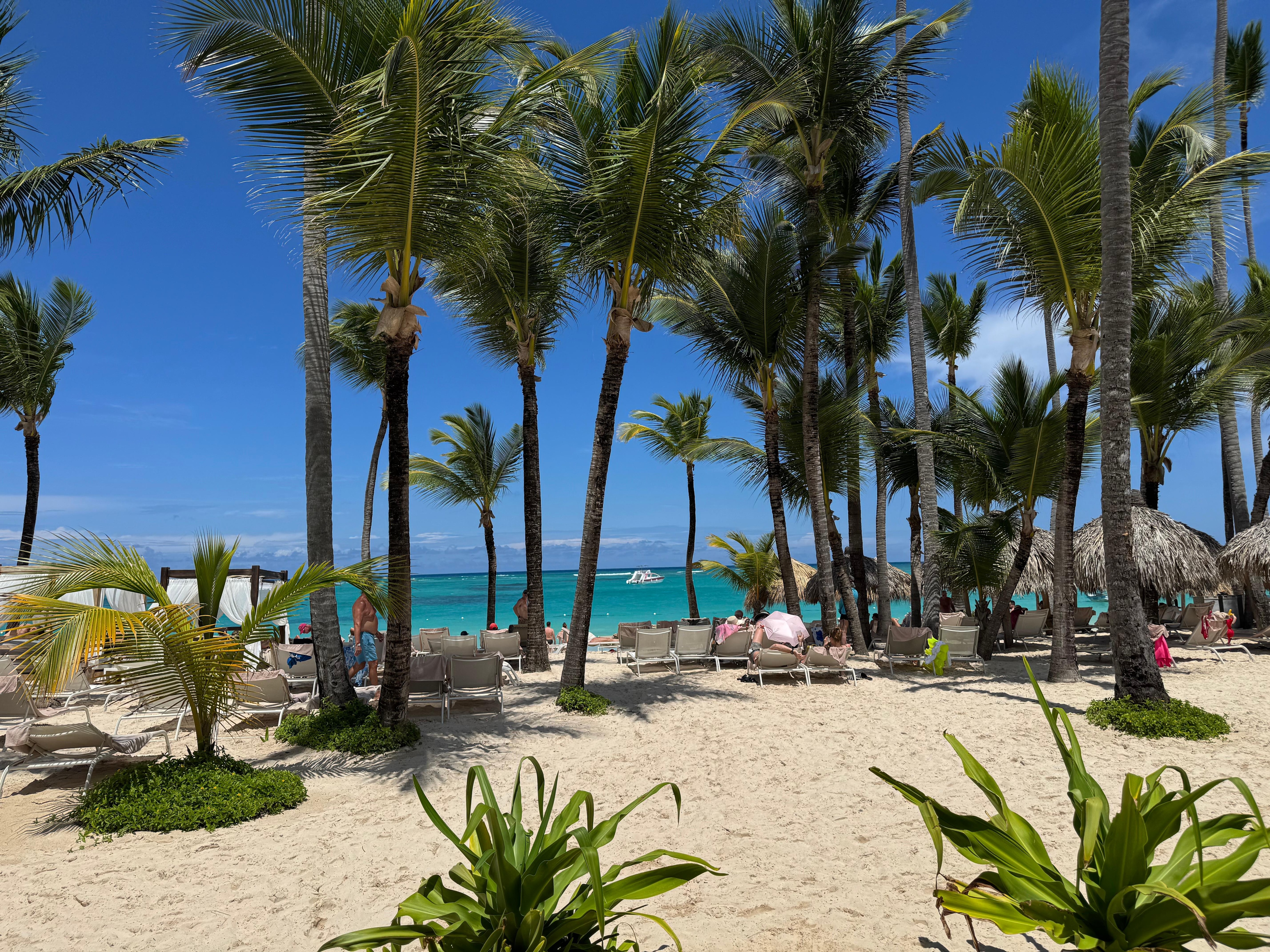 Little view of the beach!