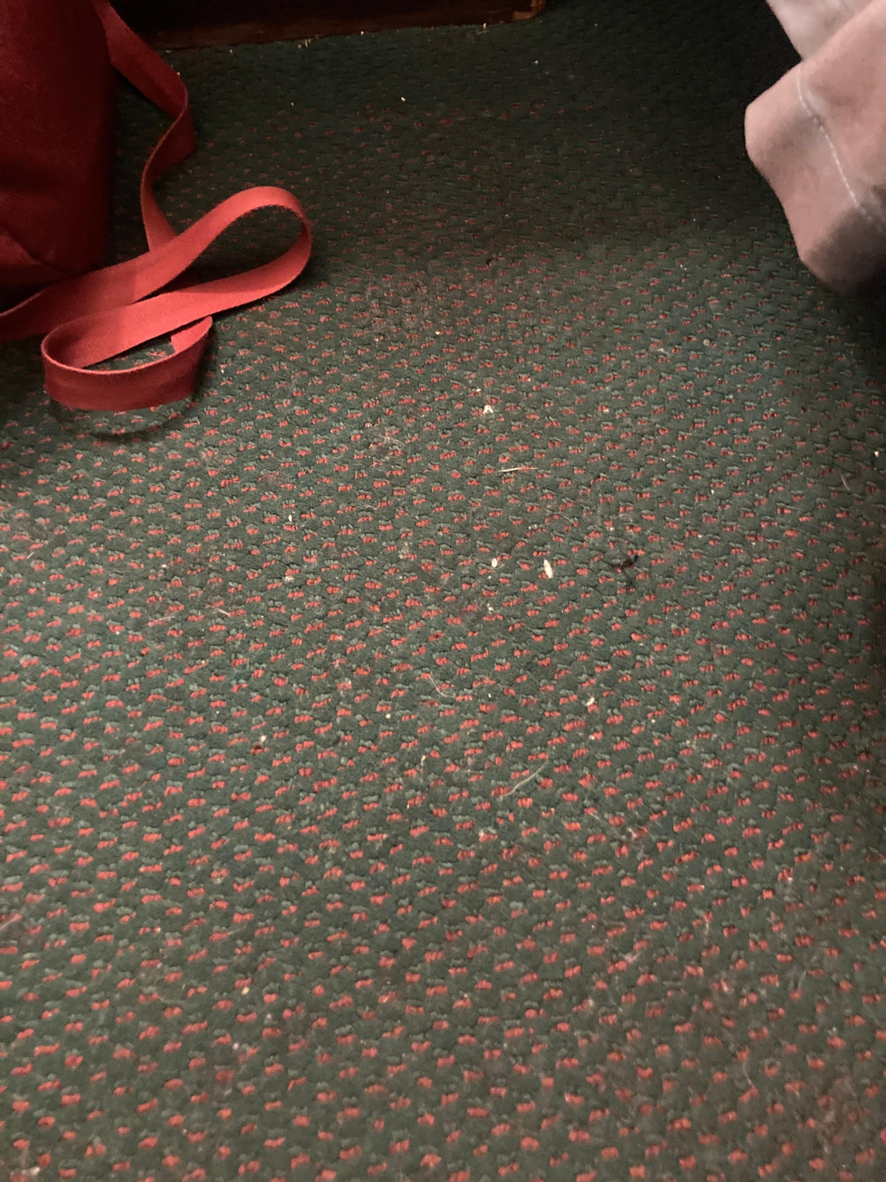 Hair and crumbs on the floor