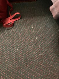 Hair and crumbs on the floor