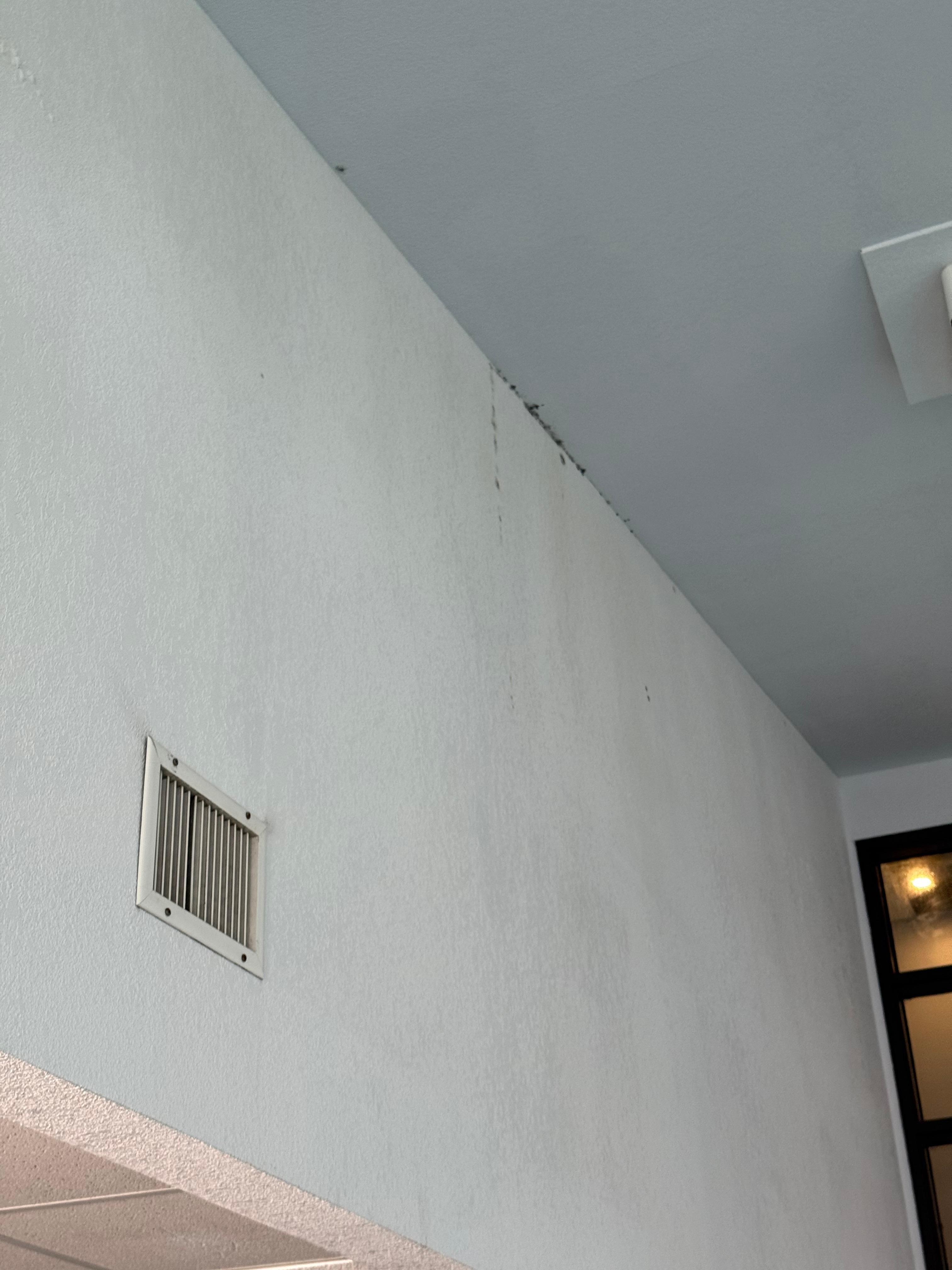 Mold in pool room