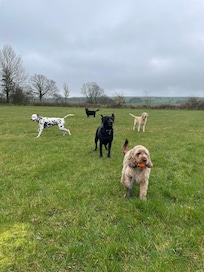 Safe fields for endless playtime