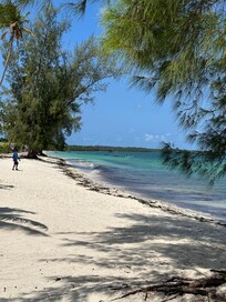 Dejlig stand men volleyball net havde de alligevel ikke.