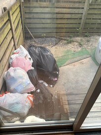 Garbage in back yard