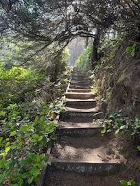 Ocean path