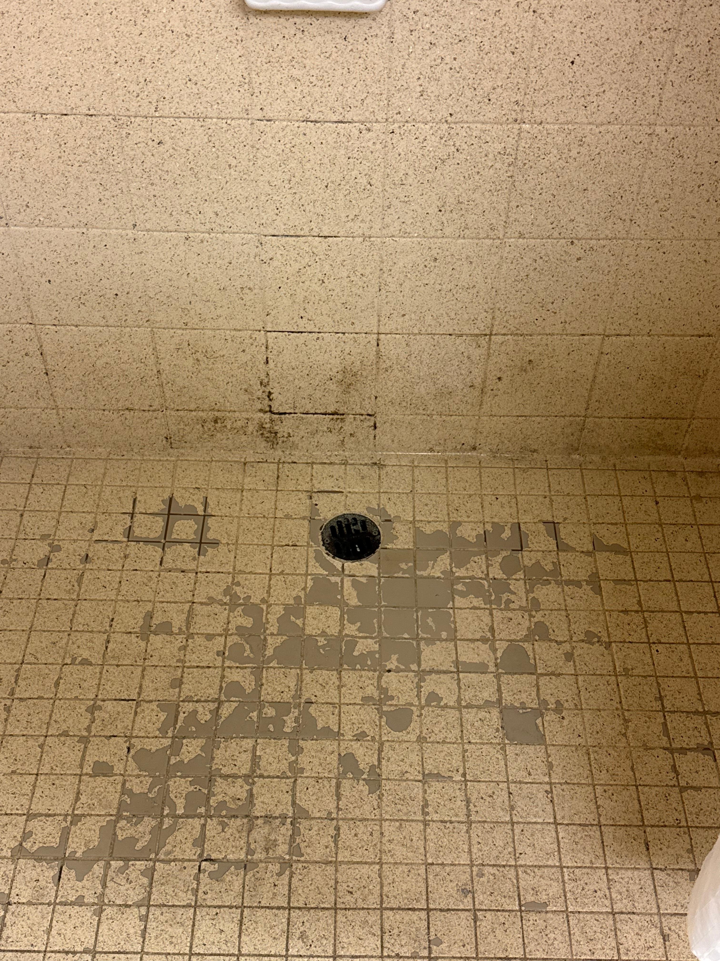 Moldy shower