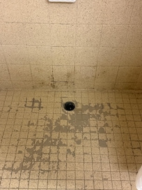 Moldy shower