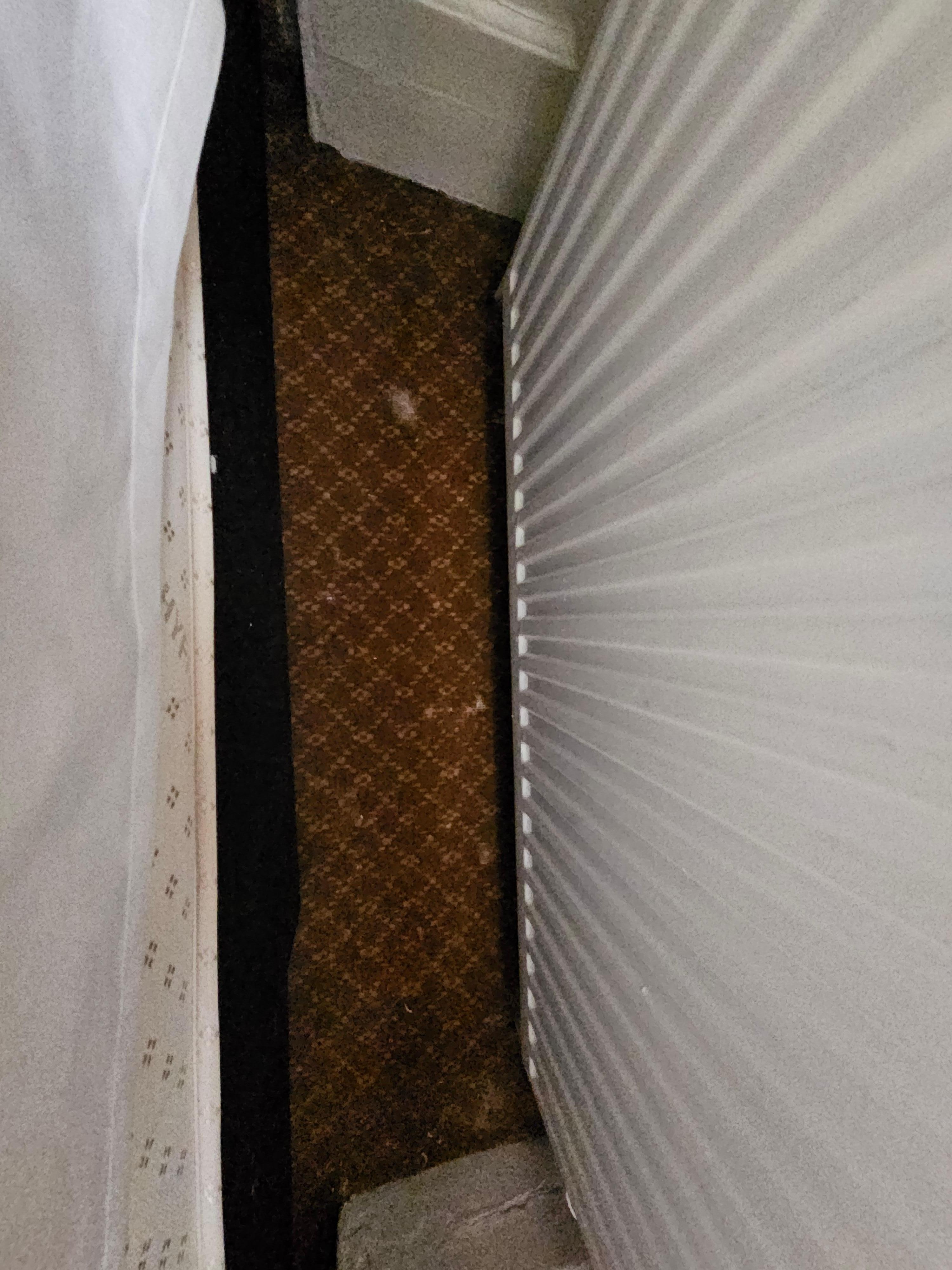 Dirty carpets