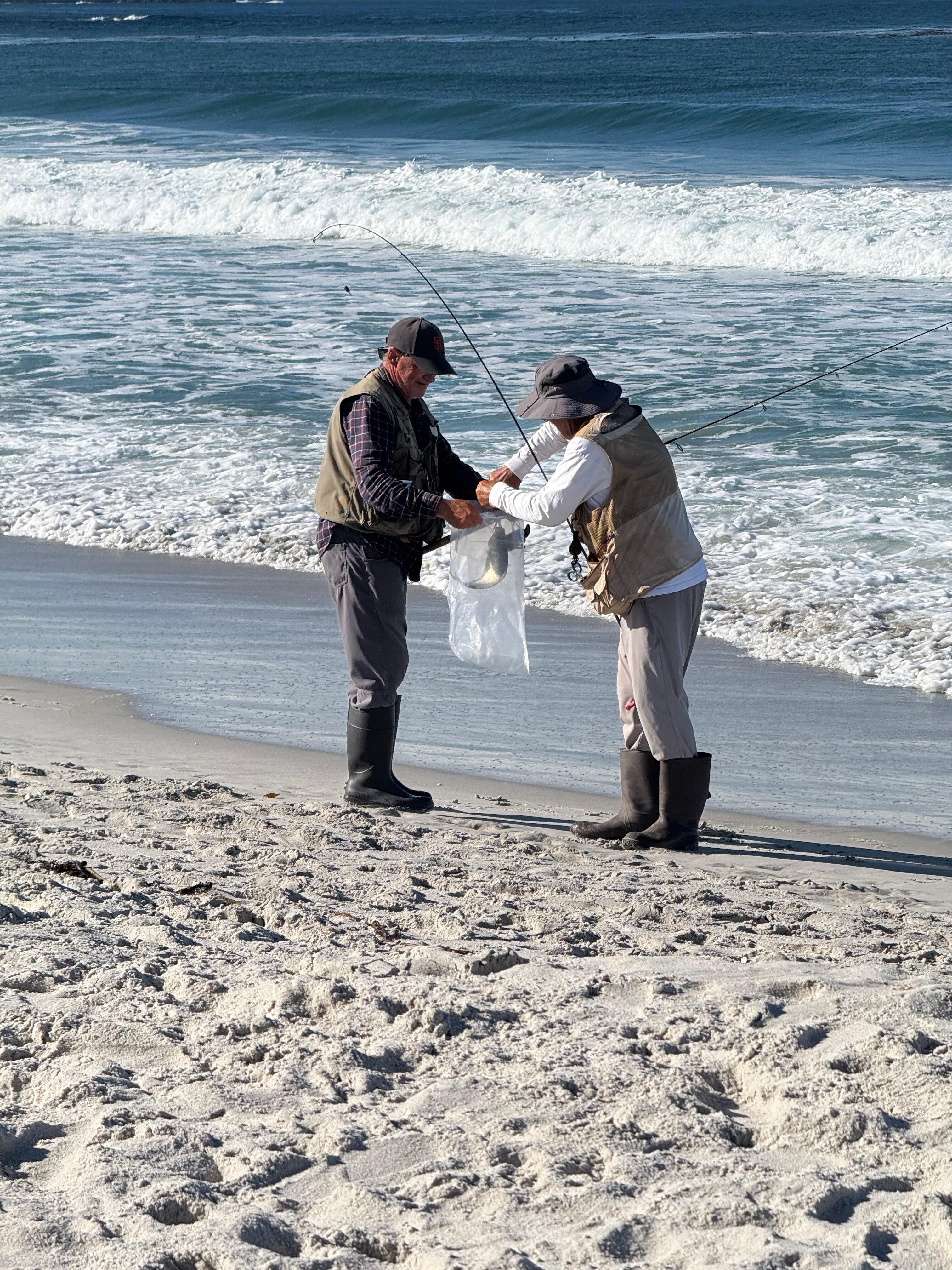 Beautiful Carmel-by-the-Sea beach