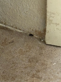 Small roach in bathroom