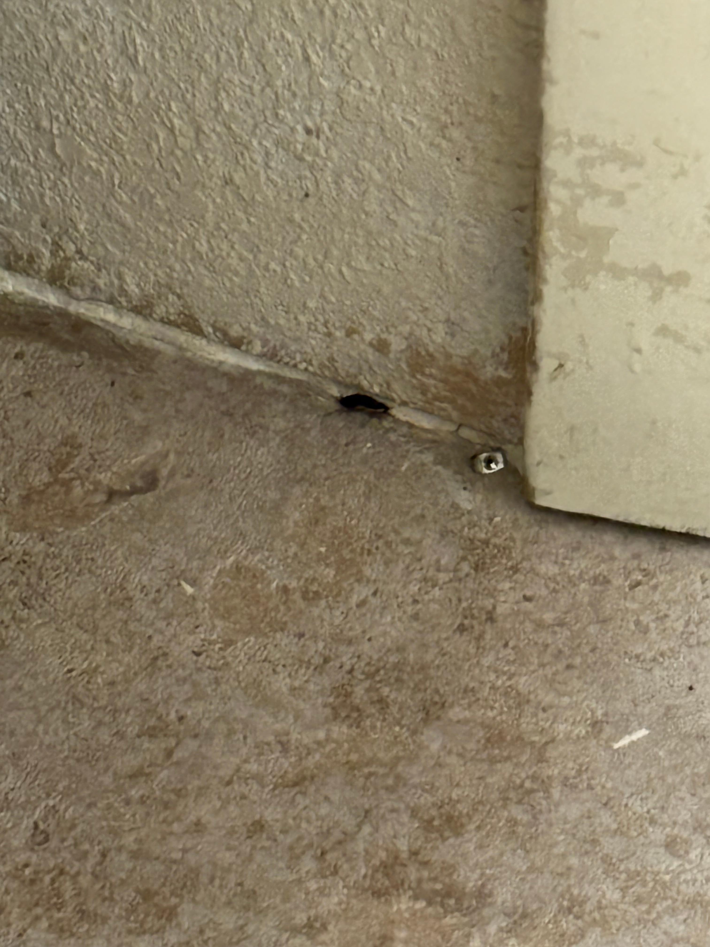 Small roach in bathroom