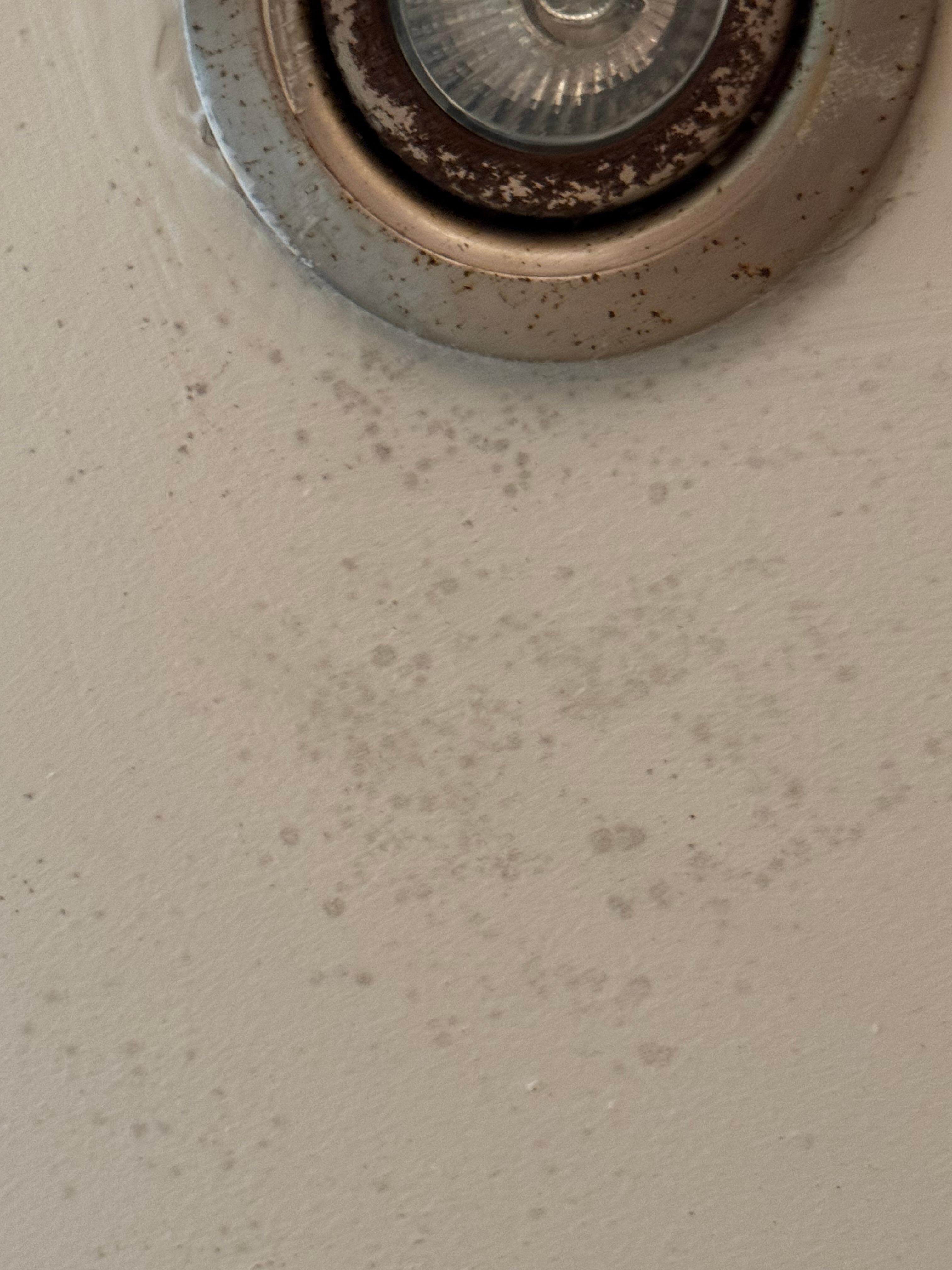 Mold on bathroom ceiling next to rusted light fixture