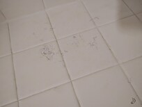 Hair on tile