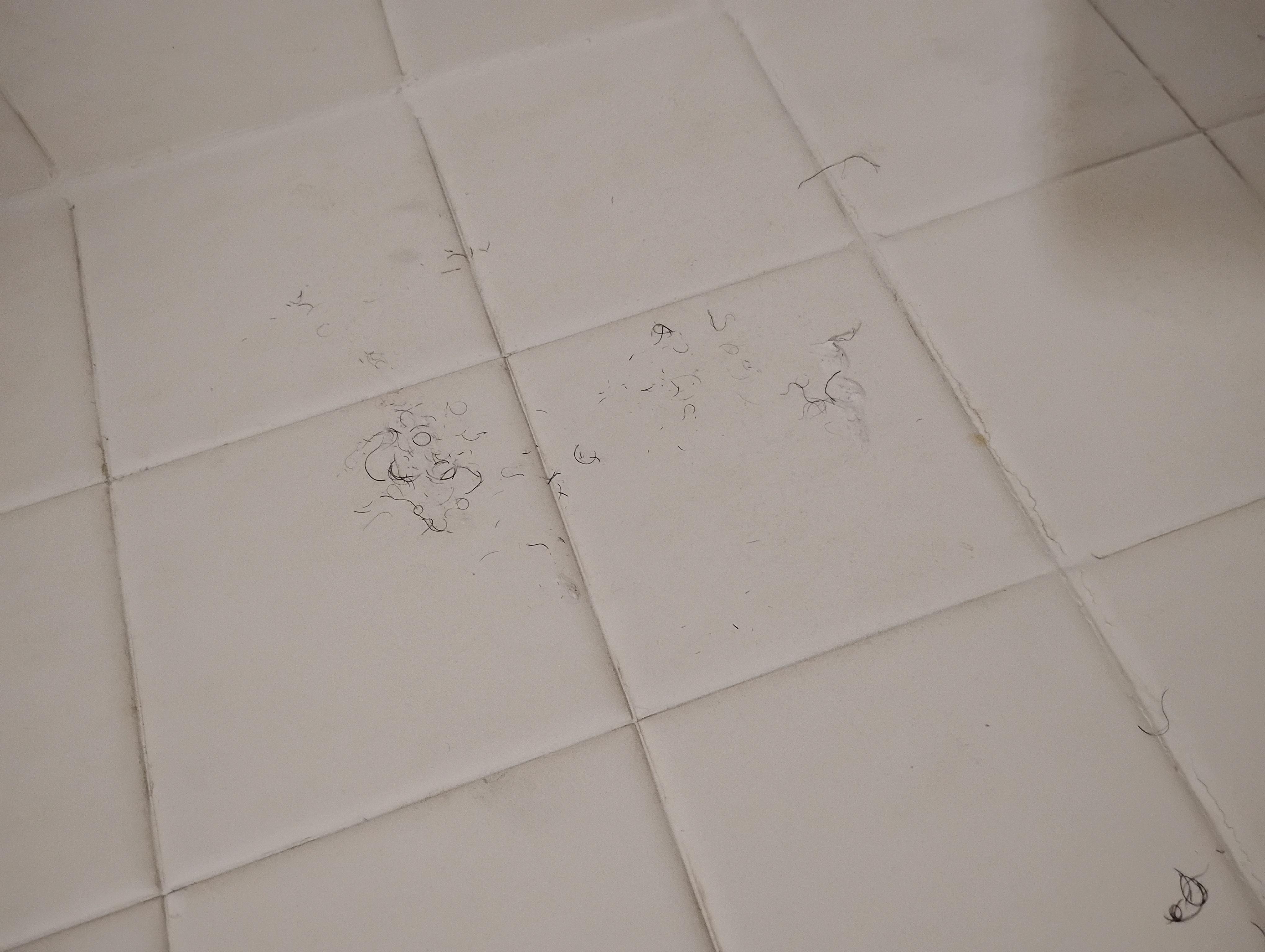 Hair on tile