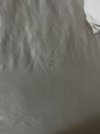 This was the bedding cover