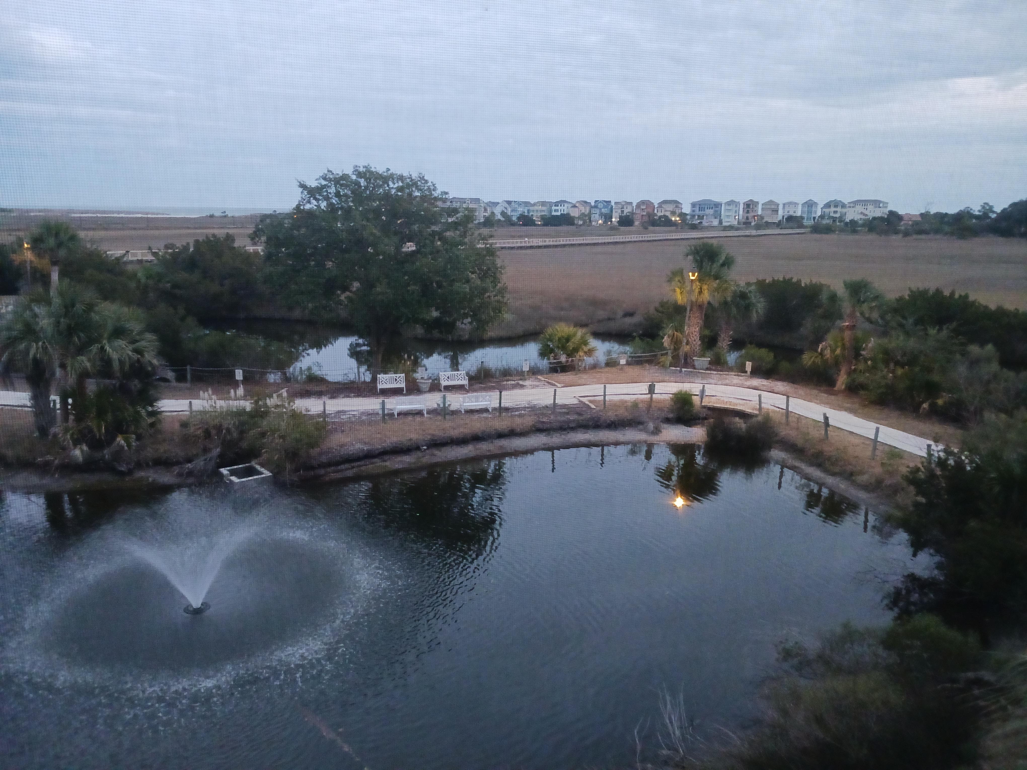 View off screened balcony