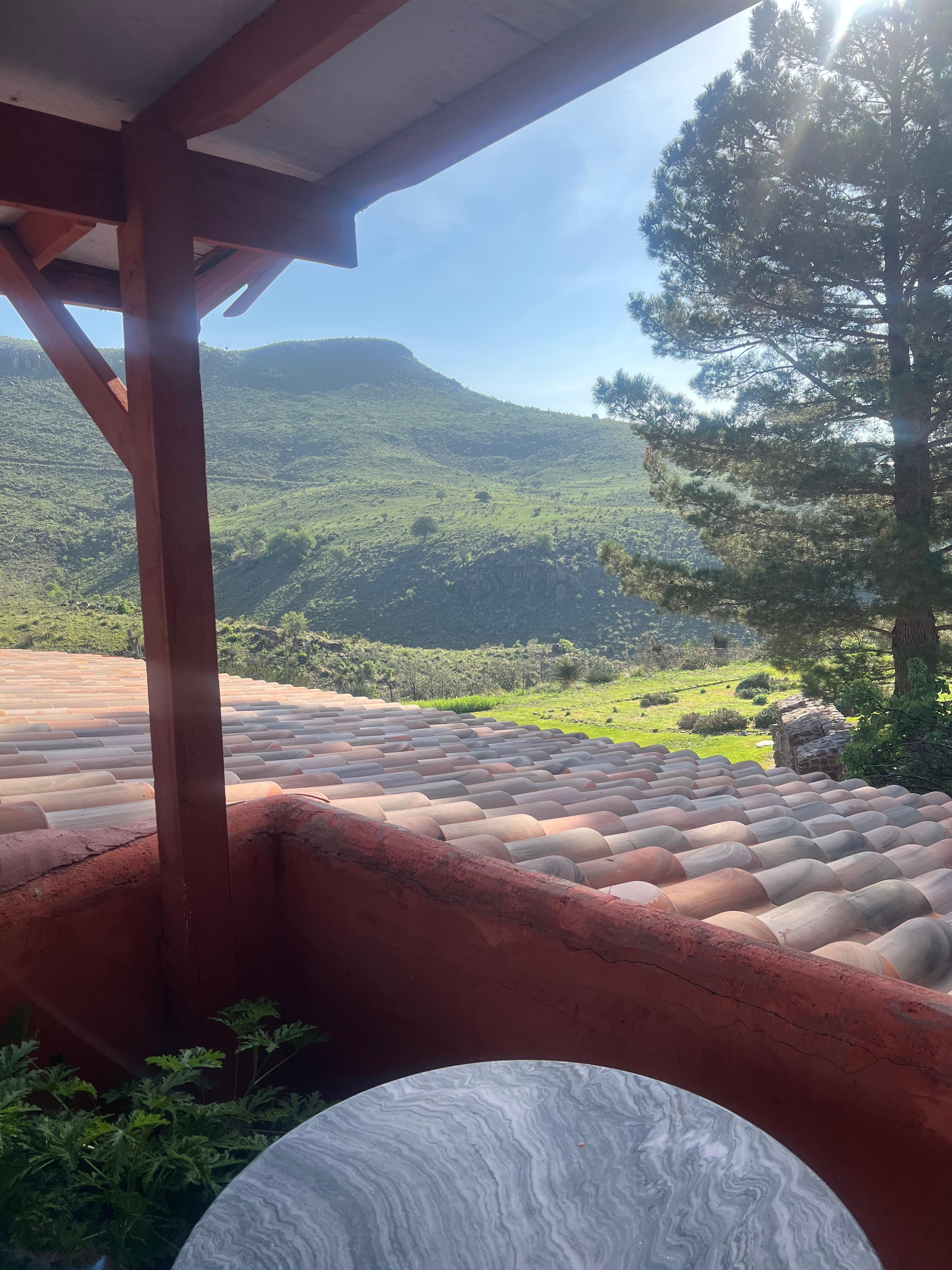 from the balcony on the backside of the home.  