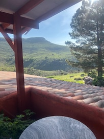 from the balcony on the backside of the home.