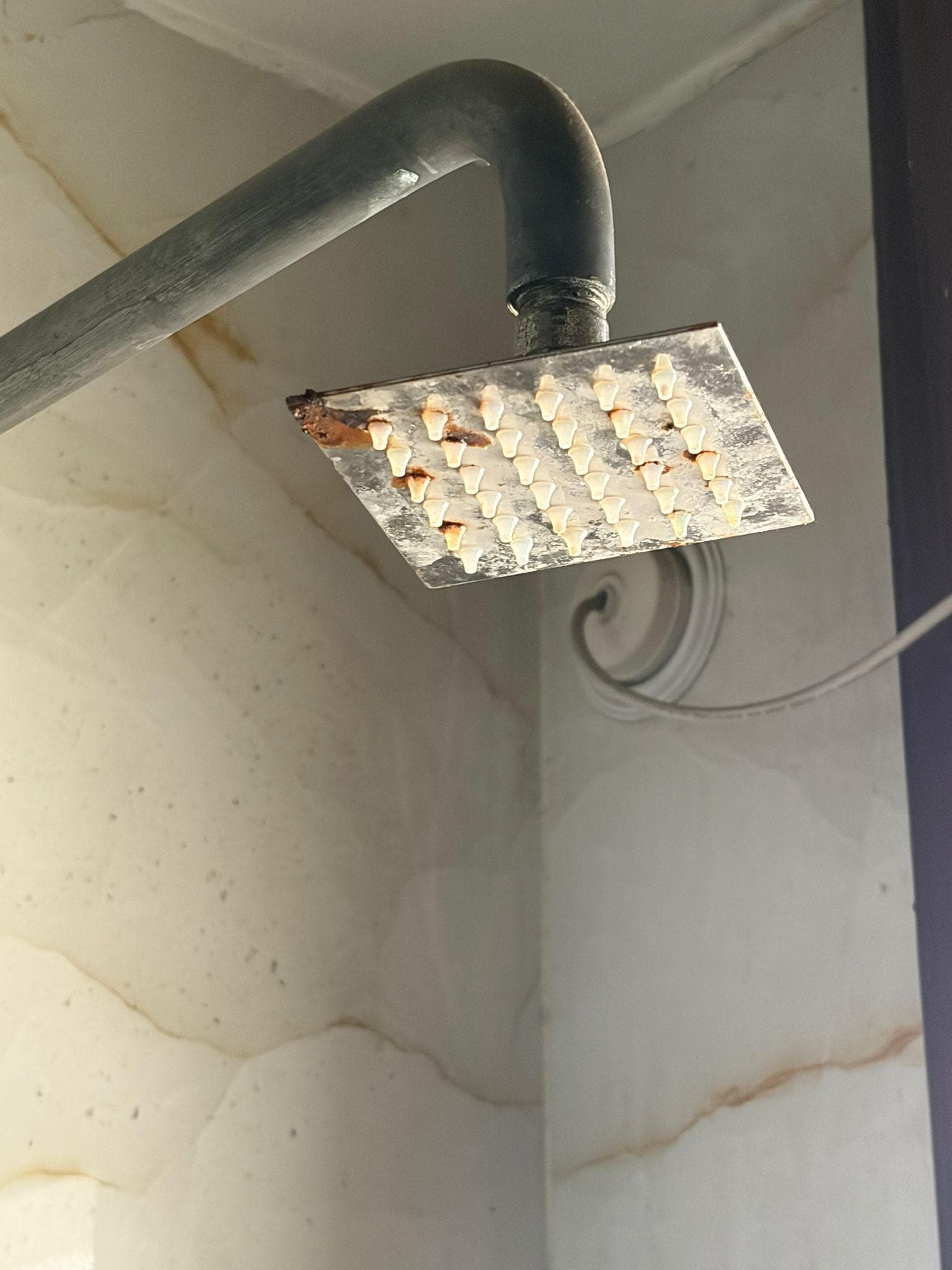 The build of of filth was repulsive