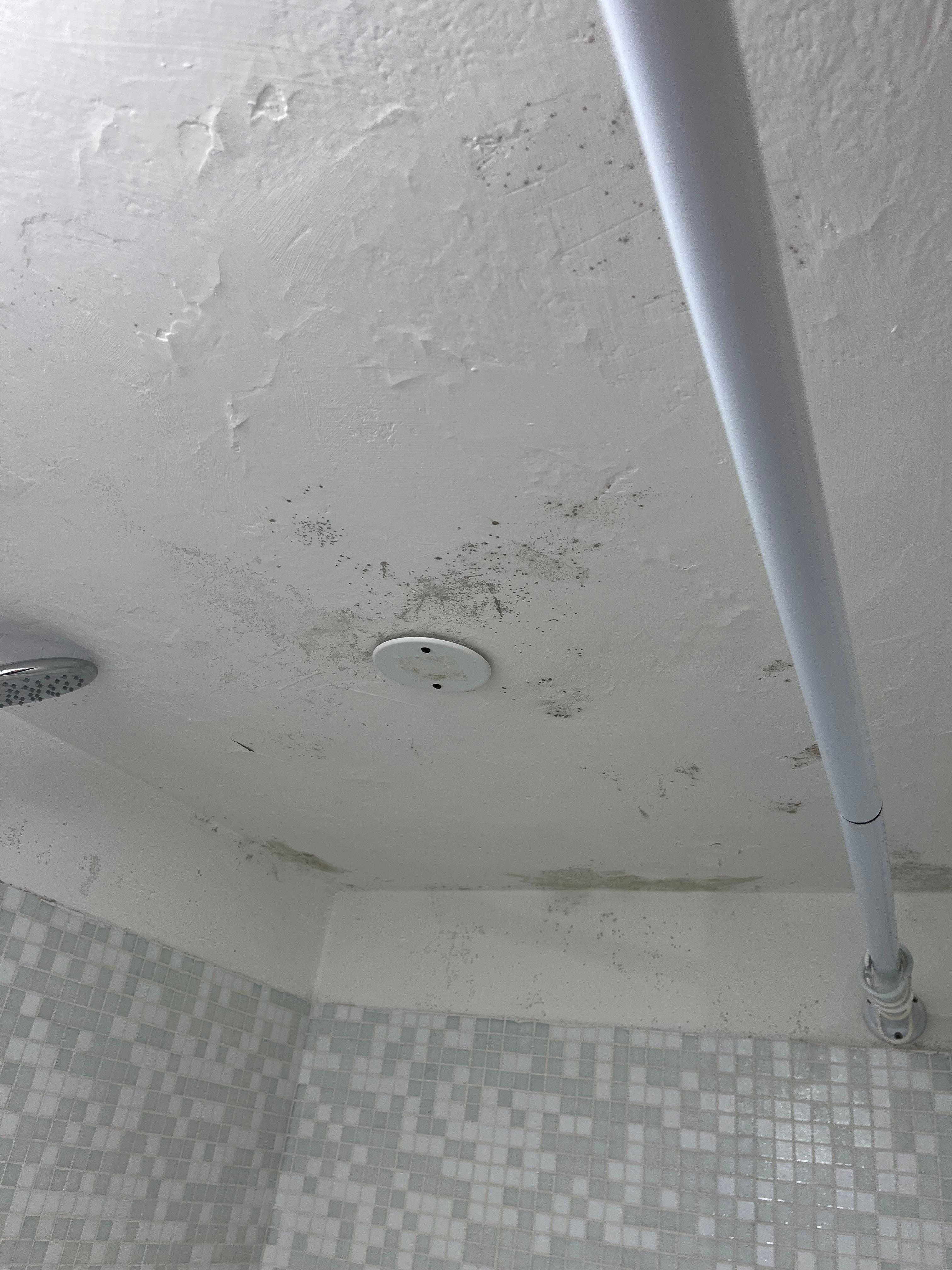 Mold in bathroom 