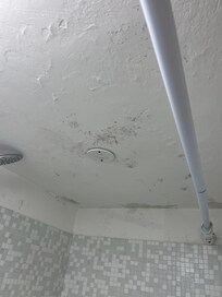 Mold in bathroom