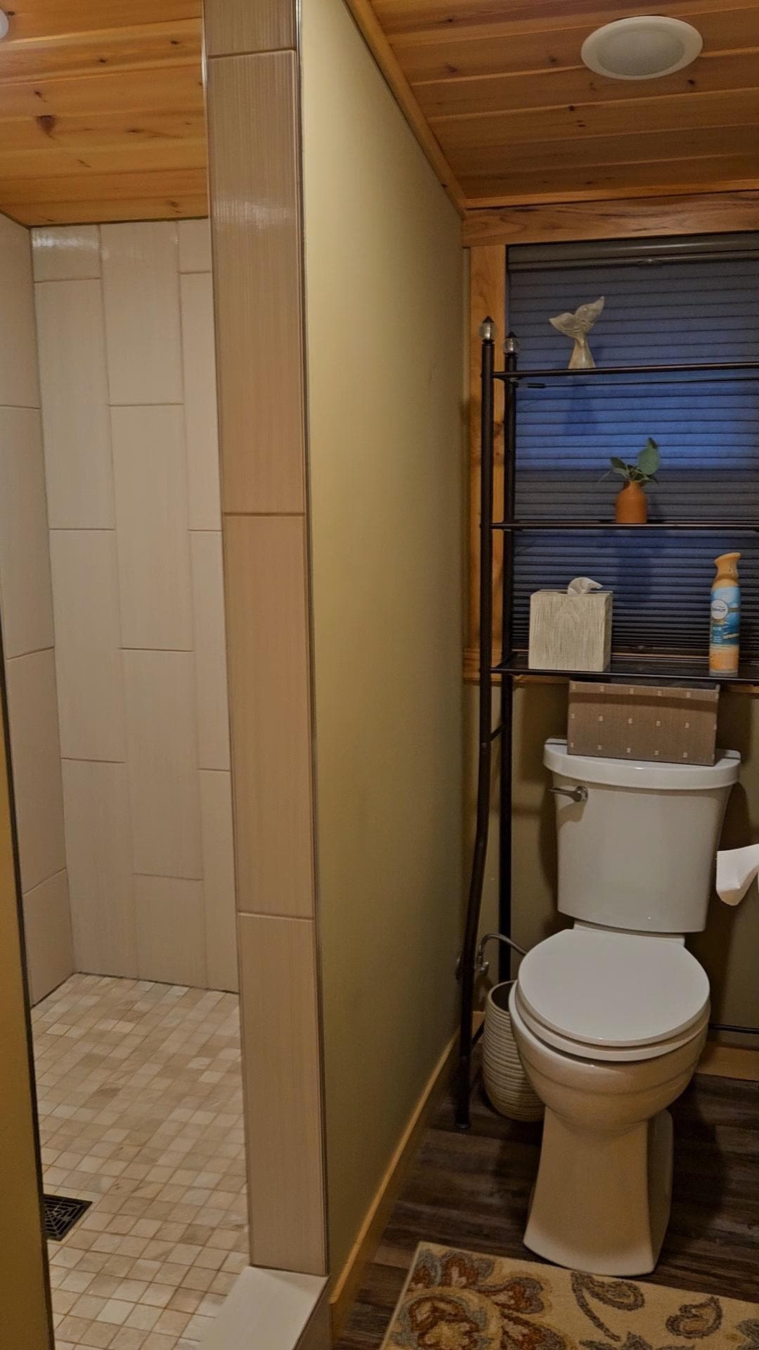 Shower and toilet