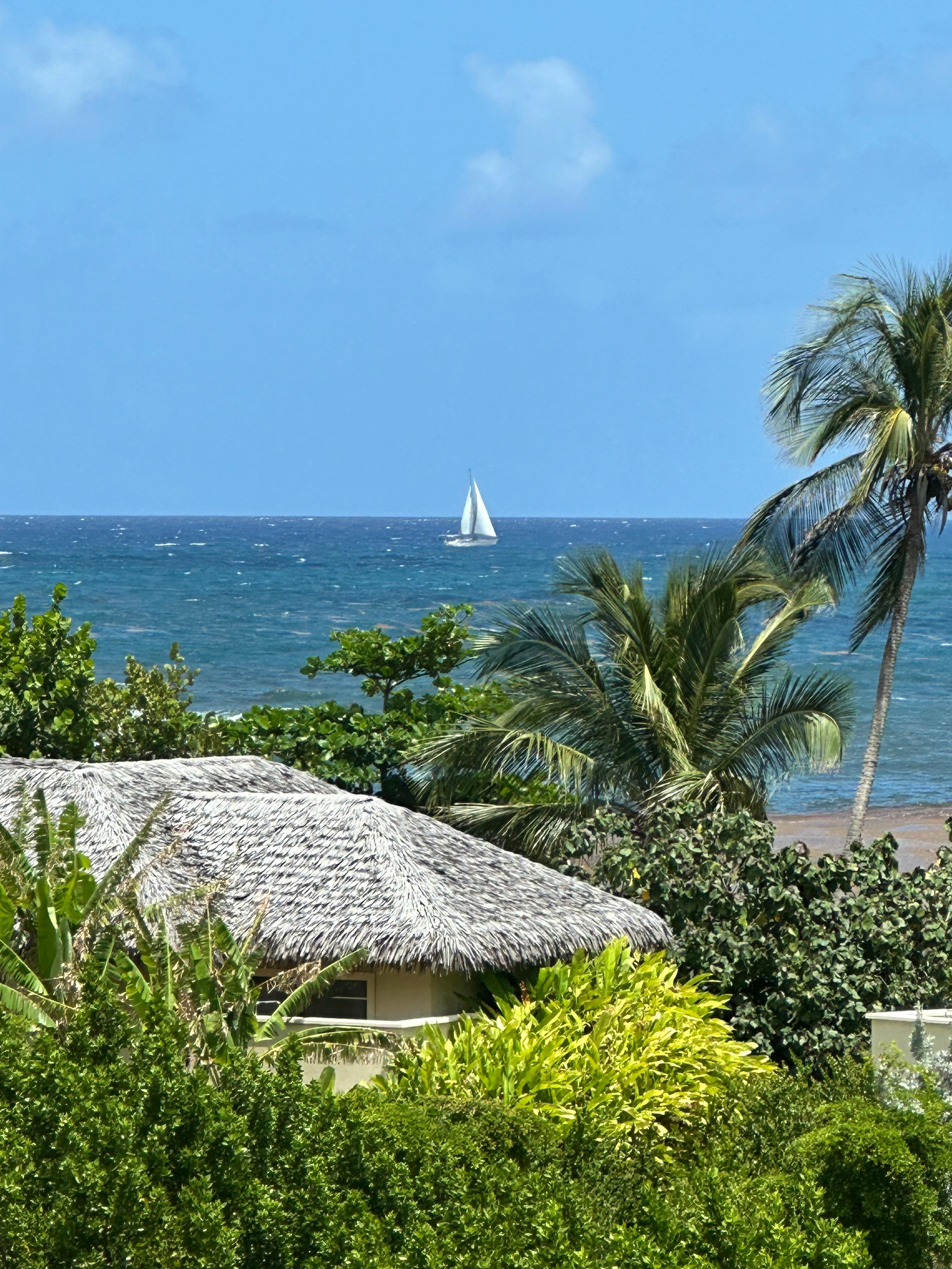 View from my room