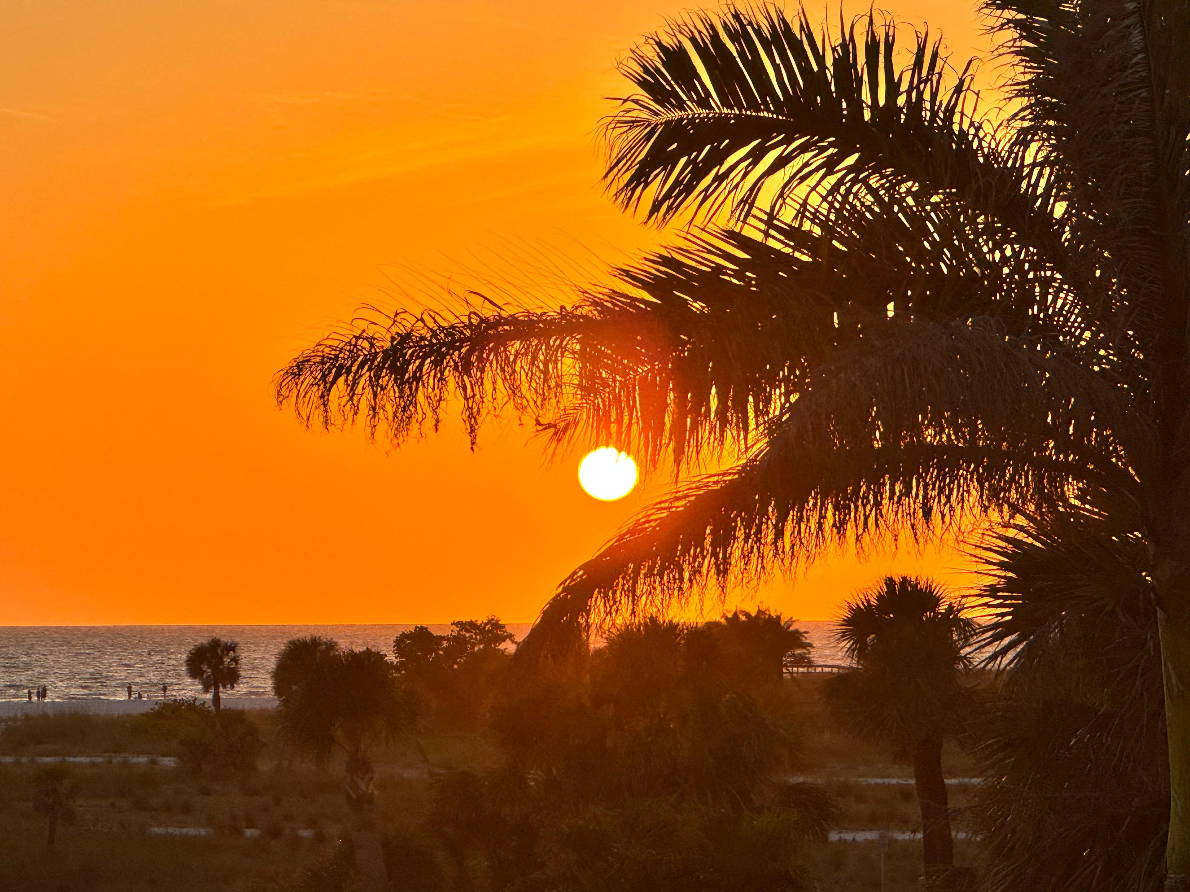 Last night sunset