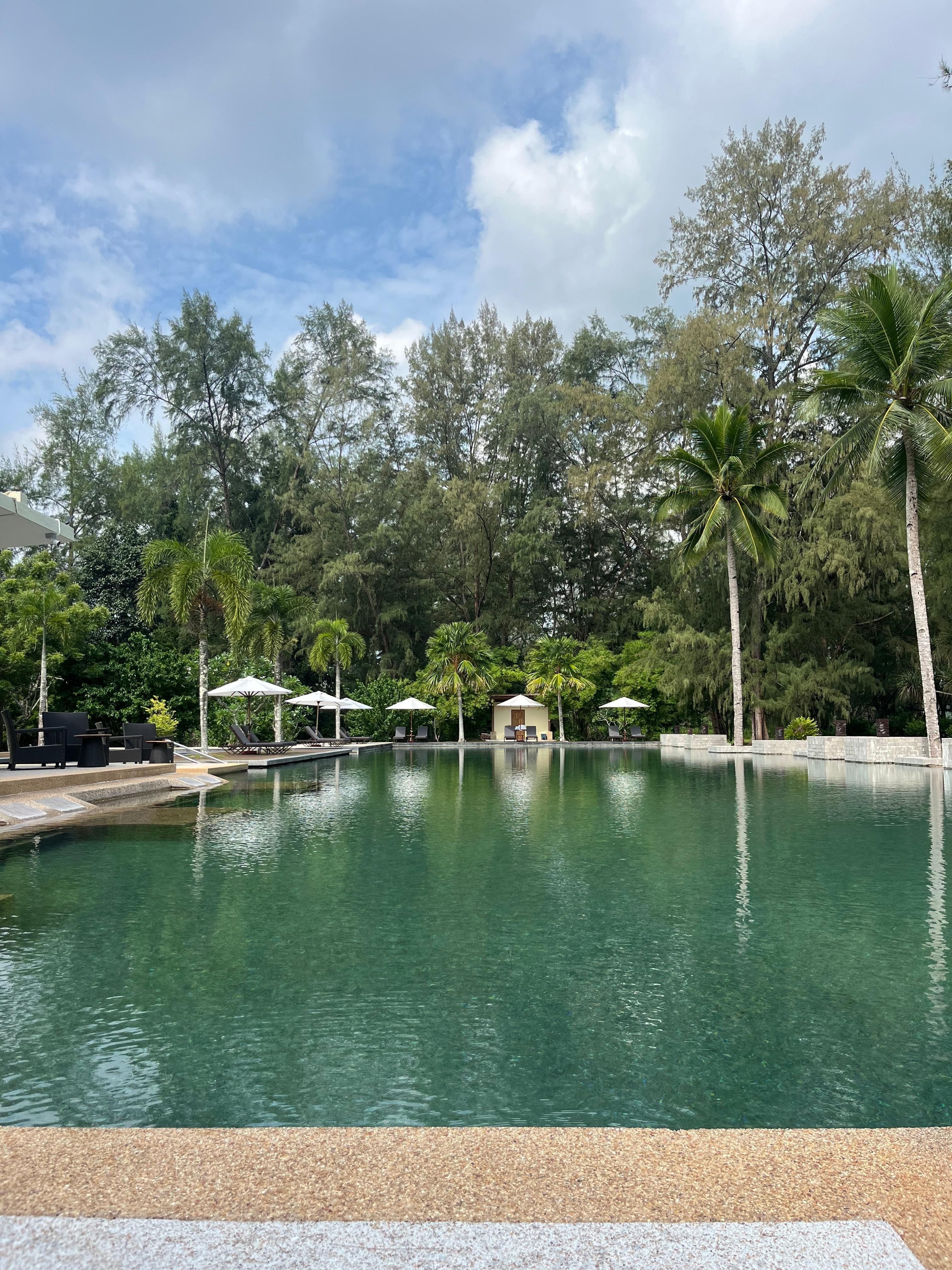 Adults pool with bar