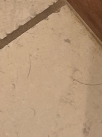 Floor in one bathroom