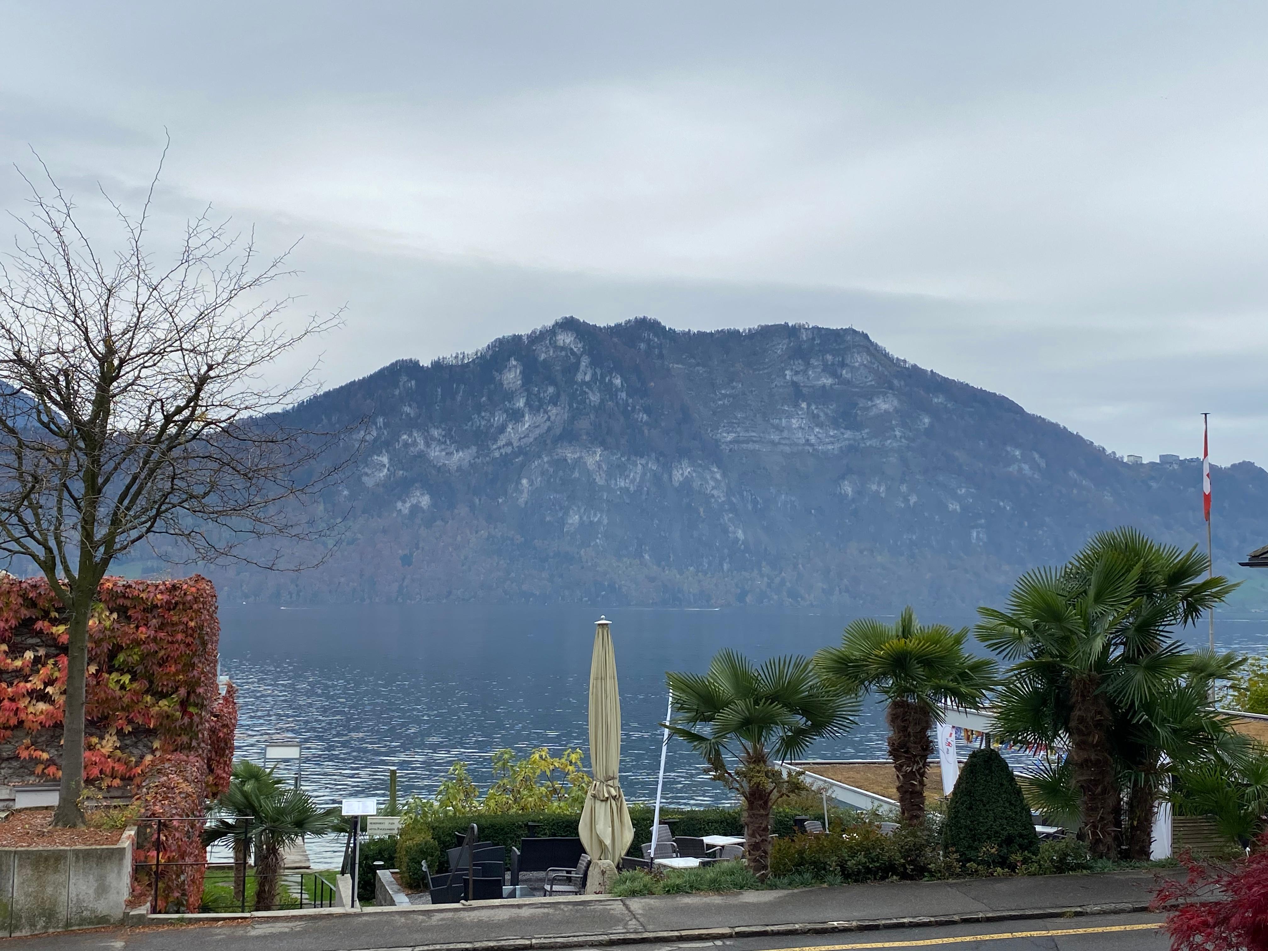 Ausblick aus zimmer