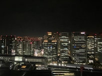 View onto Tokyo