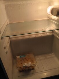 Mold in fridge