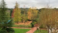 Vue depuis la chambre