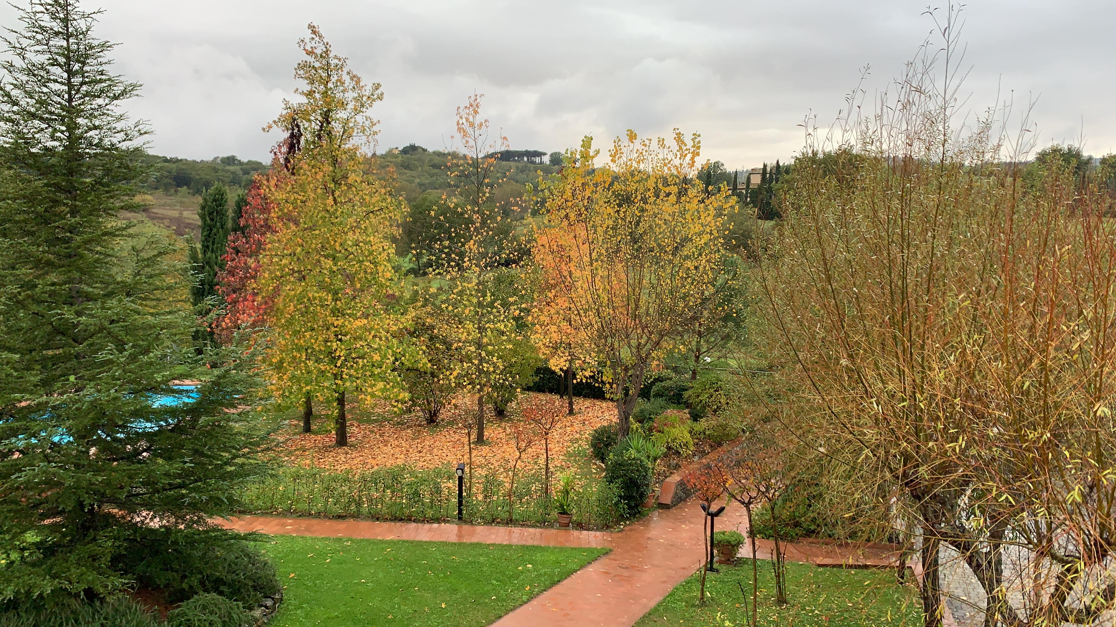 Vue depuis la chambre 