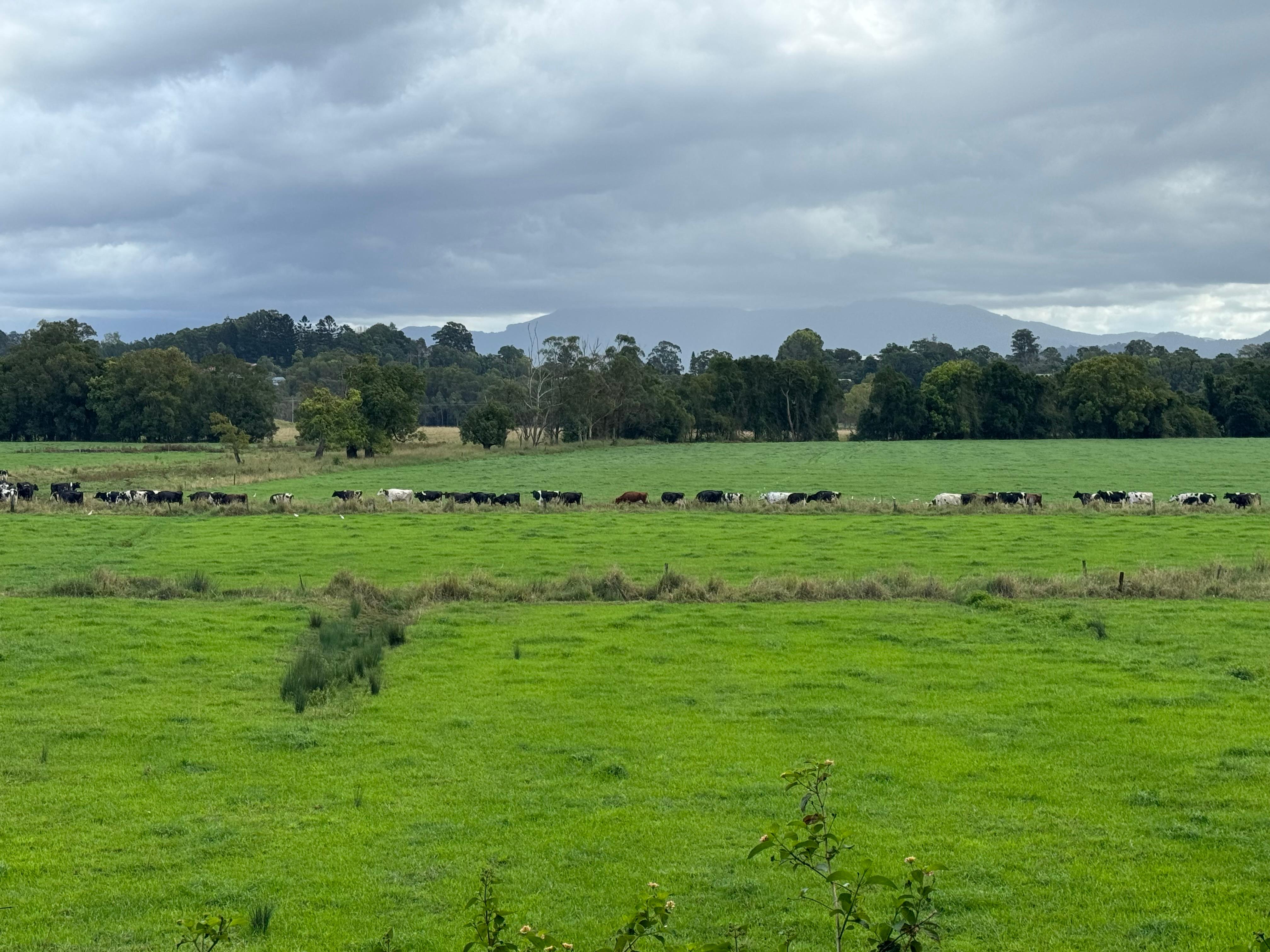 Local Farmland 