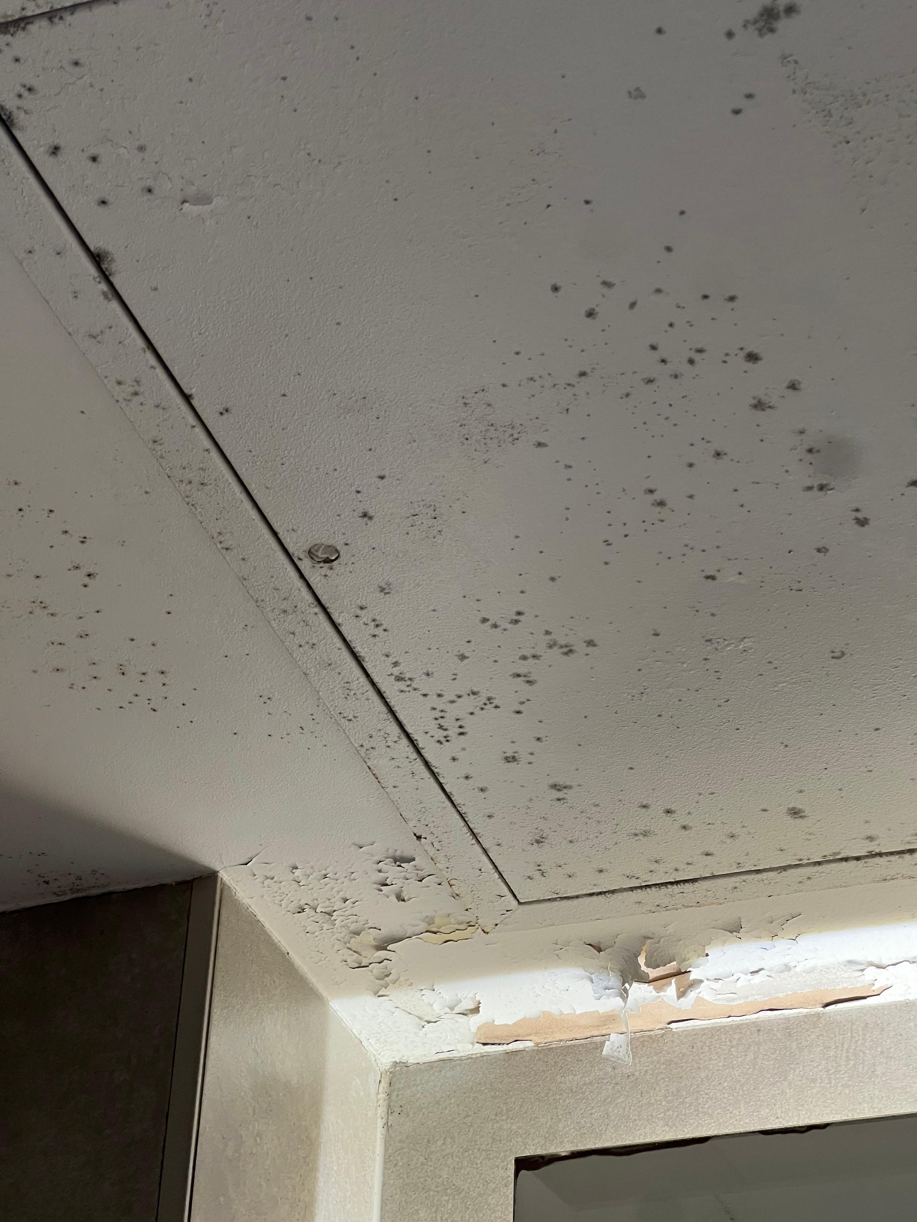 Bad condition ceiling