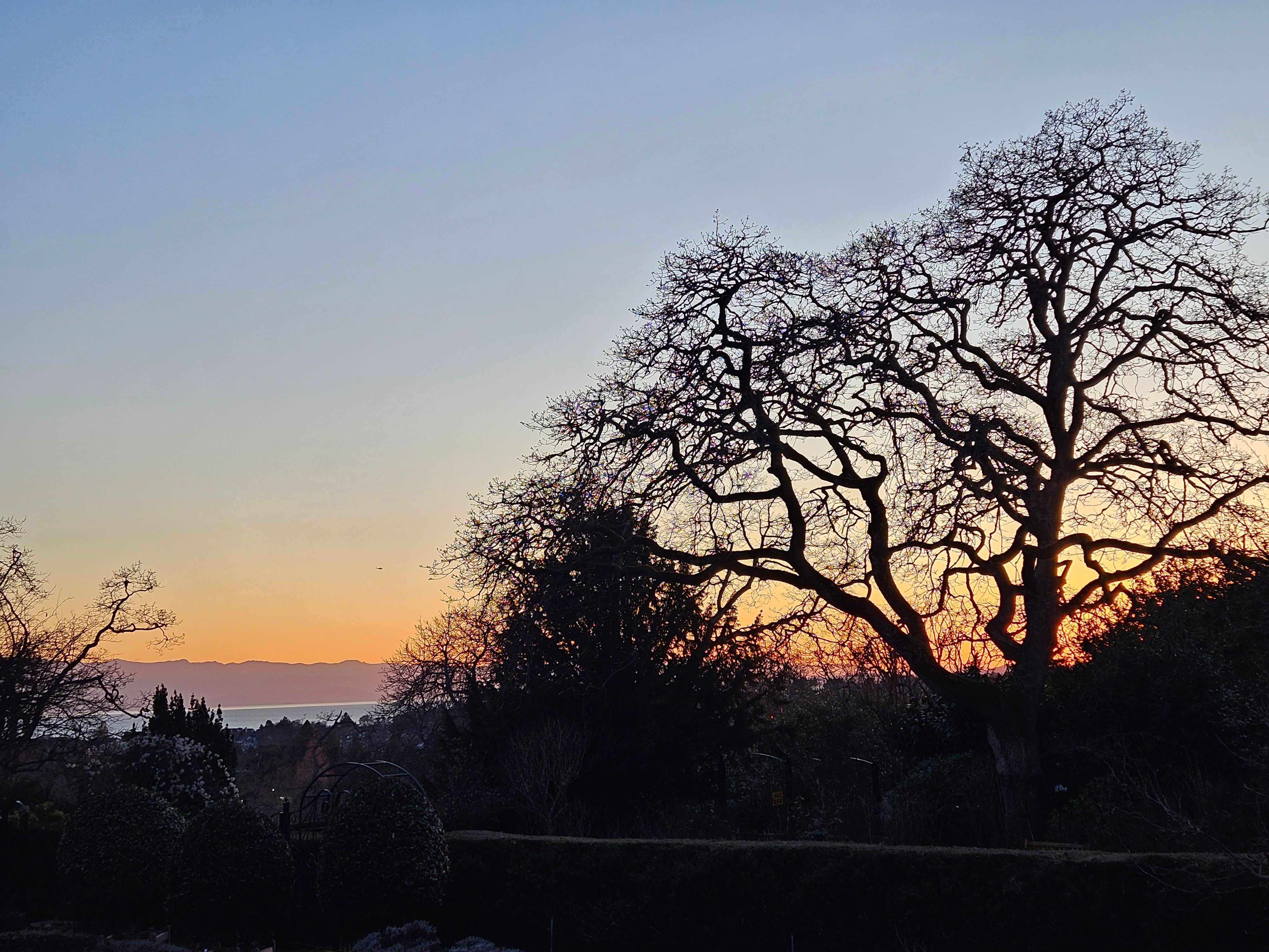 Walking the nearby grounds of Government House at sunset