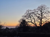 Walking the nearby grounds of Government House at sunset