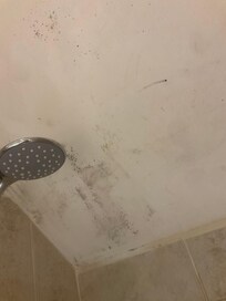 Black mould ceiling of shower in room 11