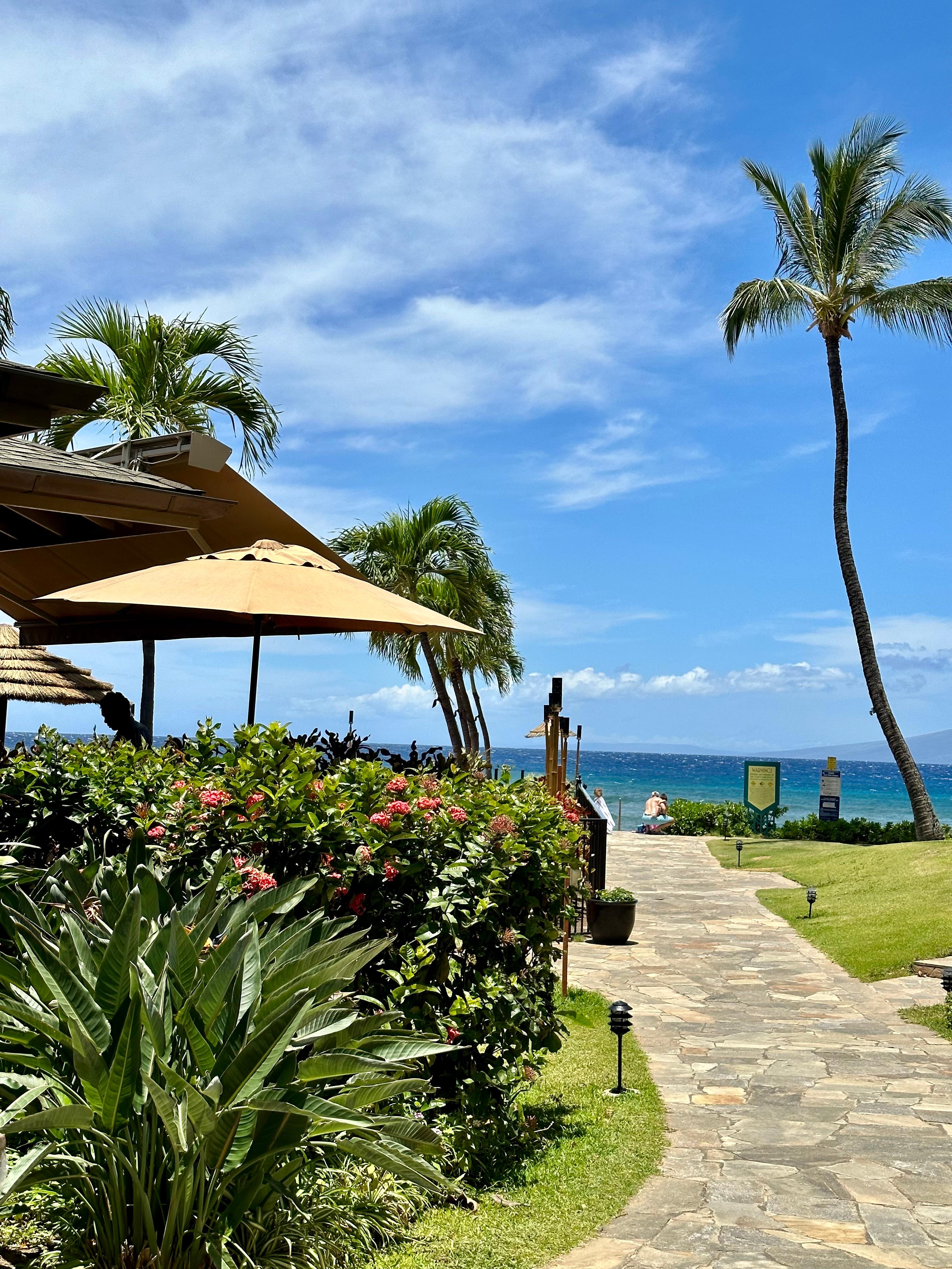 Path to the beach