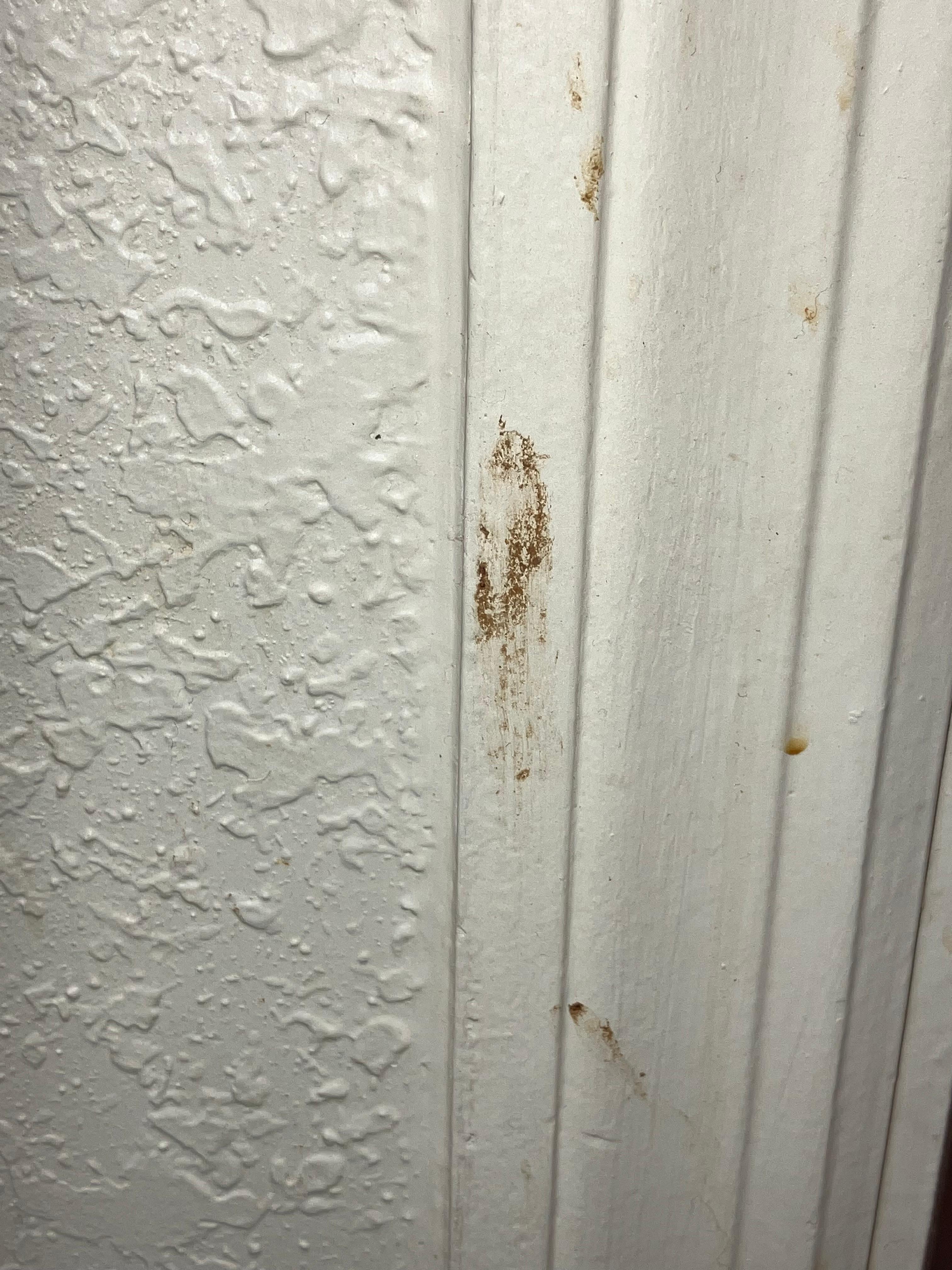 Bathroom door frane