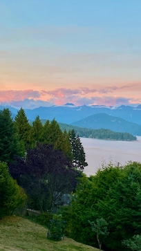 View from the back porch