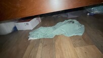 More underwear dust and junk under the bed.