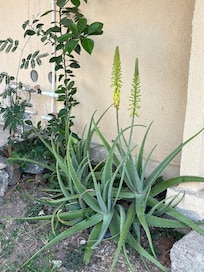 The grounds were secluded and very clean. someone was there every day to maintain our little block.