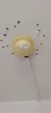 The fire alarm seems to be covered by a plastic bag!